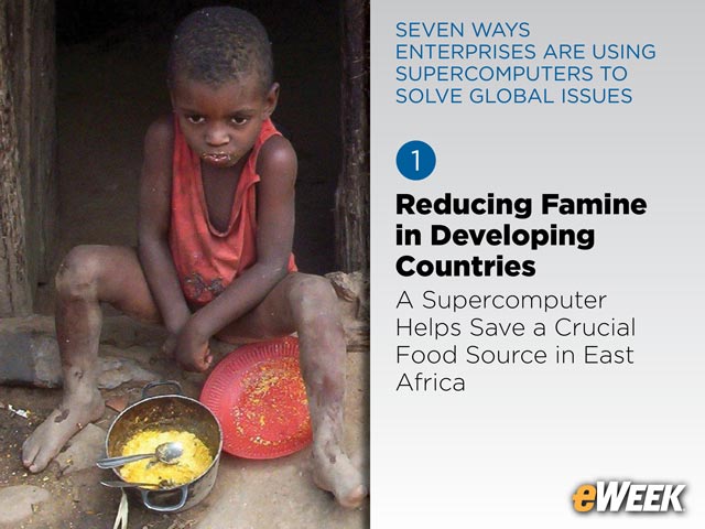 Reducing Famine in Developing Countries